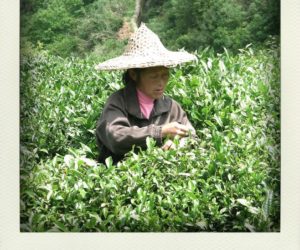 Carnet de voyage : Chine (2011)